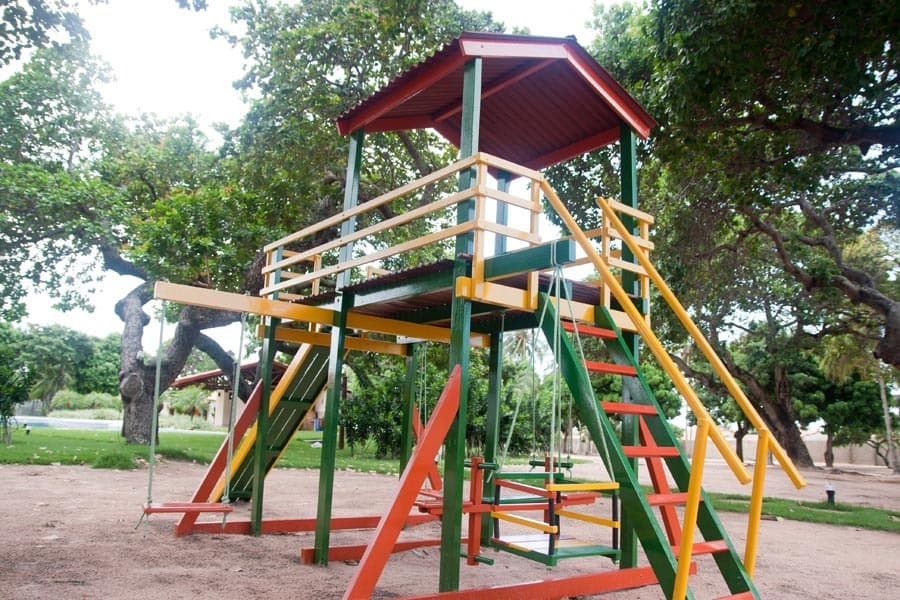 Miniatura 51