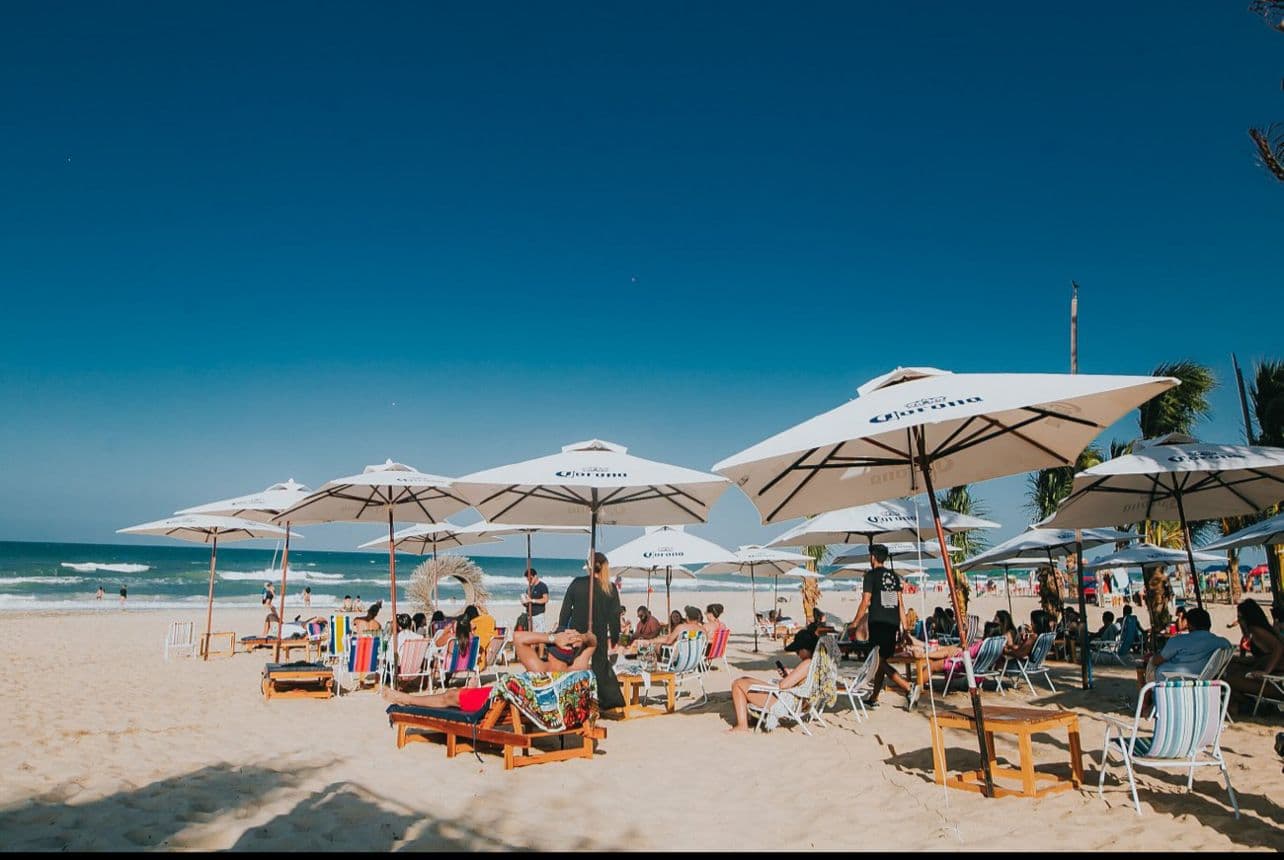 Miniatura 12
